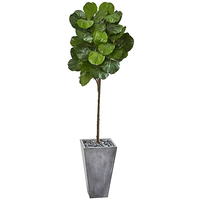 6.2ft. Fiddle Leaf Artificial Tree in Cement Planter