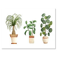 Designart - Trio of House Plants Ponytail Palm and Ficus