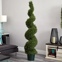 6ft. Potted Rosemary Spiral Tree