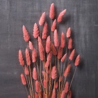 Mauve Lagurus Bundle by Ashland®