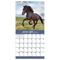 TF Publishing 2025 Horses Mini Calendar
