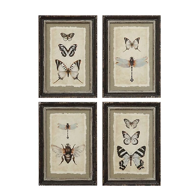 Hello Honey® Wood Framed Vintage Insect Prints Set
