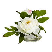 6" Assorted Peony in Glass Vase Set, 3ct.