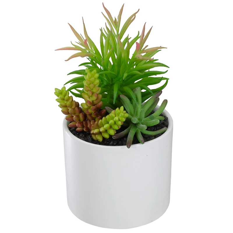 9" Succulent Arrangement in White Ceramic Pot