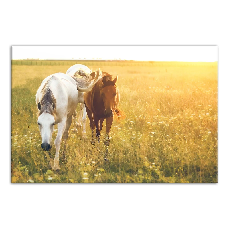 Sunlit Horses 30" x 20" Canvas Wall Art