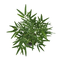 19" Green Foliage Artificial Plant with Black Pot