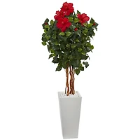 5ft. Red Hibiscus Tree in White Planter