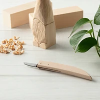 Carving Knife by ArtMinds®