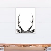 Peeking Deer  16" x 20" Canvas Wall Art