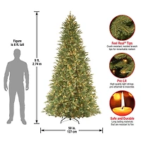 9 ft. Pre-Lit Feel Real® Tiffany Fir Slim Artificial Christmas Tree, Clear Lights