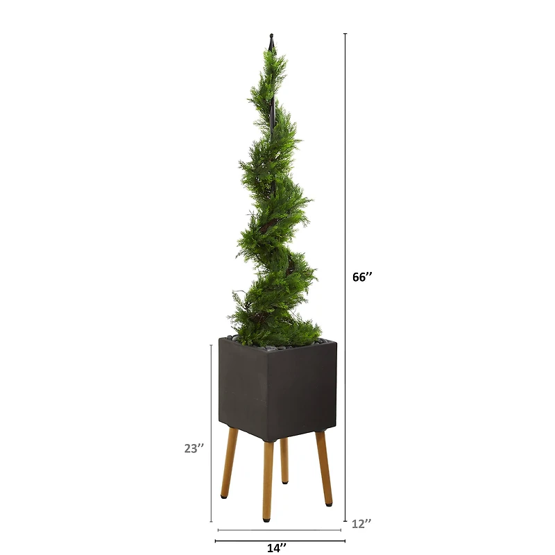 5.5ft. Cypress Spiral Topiary Tree in Black Planter with Stand