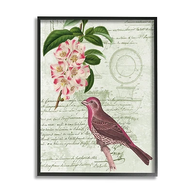 Stupell Industries Antique Bird House Patent Vintage Tree Florals Rosy-Finch Framed Wall Art