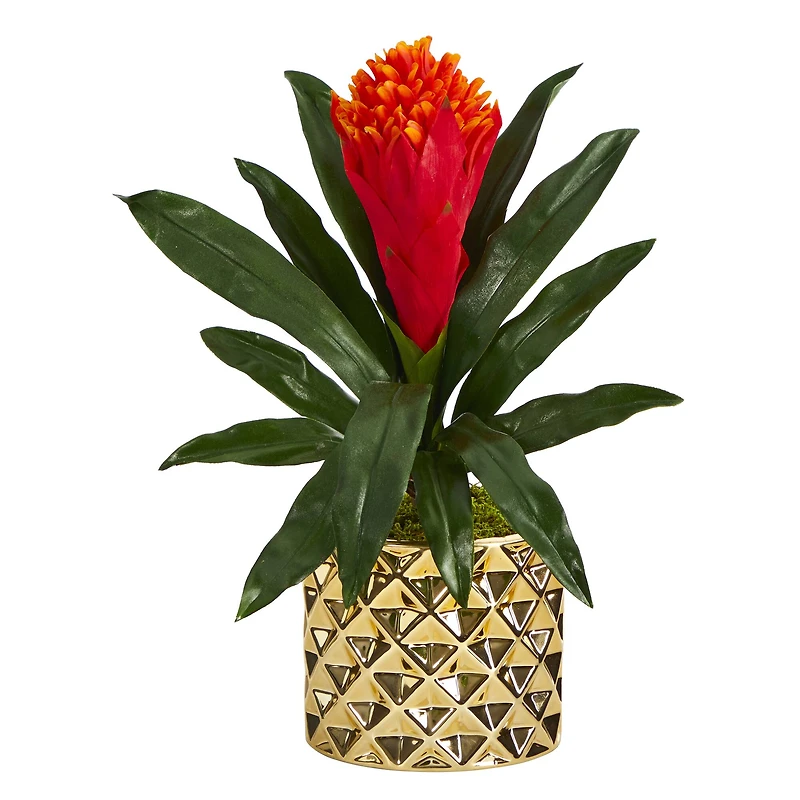 15" Bromeliad Plant in Gold Planter