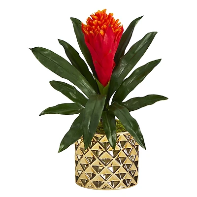 15" Bromeliad Plant in Gold Planter