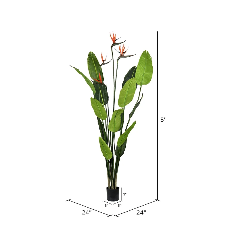 5ft. Potted Bird of Paradise Palm Tree