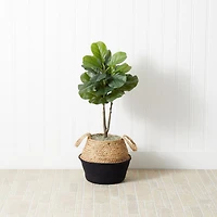 3ft. Artificial Fiddle Leaf Fig Tree With Handmade Cotton & Jute Woven Basket DIY Kit