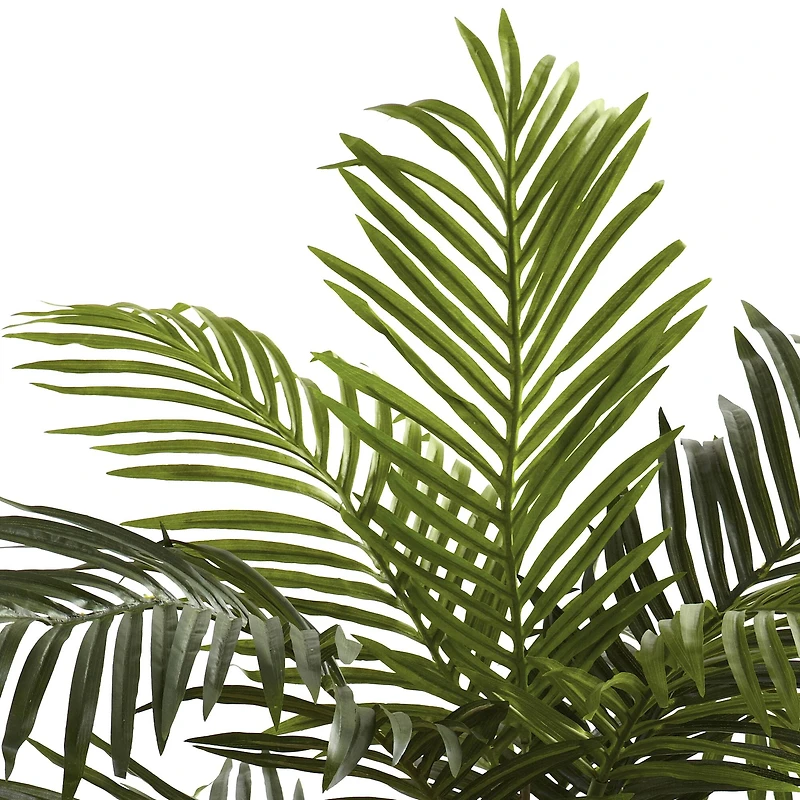 5ft. Potted Golden Cane Palm Tree