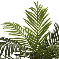 5ft. Potted Golden Cane Palm Tree