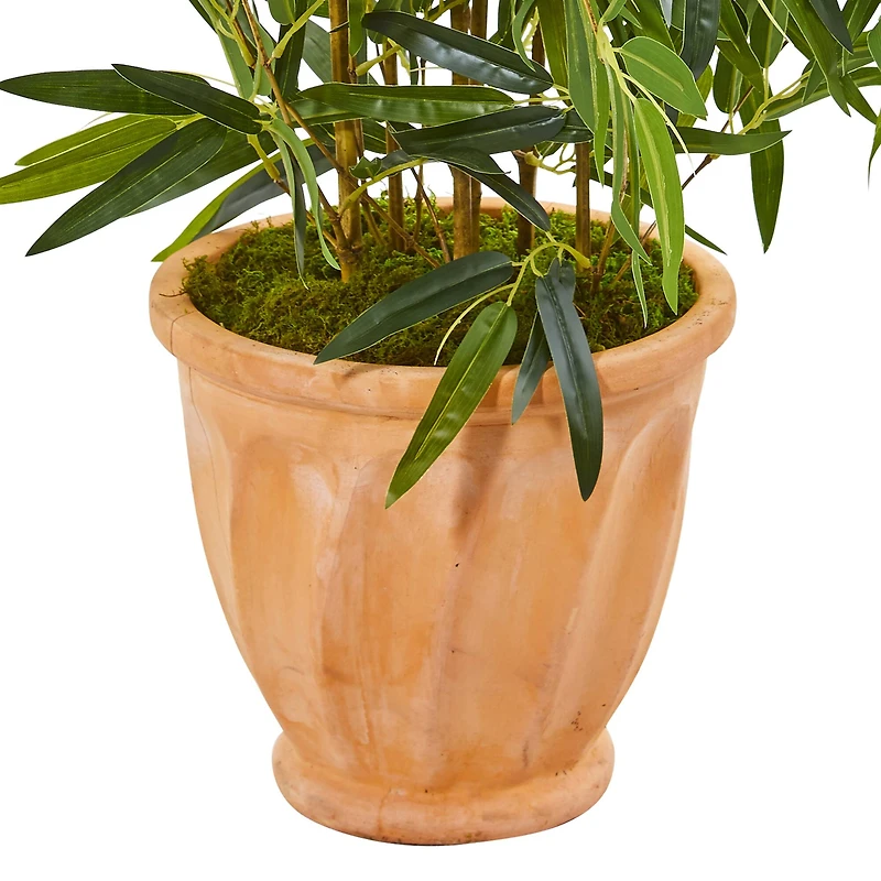 4.5ft. Bamboo Tree in Terracotta Planter