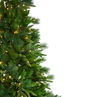 6.5ft. Pre-Lit Real Touch™️ Rosemary Emerald Angel Pine Artificial Christmas Tree, Warm White LED Lights