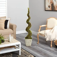 53" UV Resistant Mohlenbechia Spiral Tree in Country White Planter 