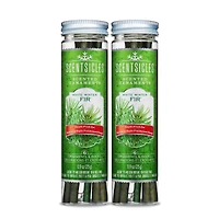 Scentsicles White Winter Fir Scented Paper Stick Ornaments, 12ct.