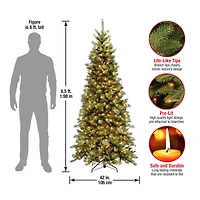 6.5ft. Pre-Lit Tiffany Fir Slim Tree, Clear Lights