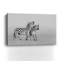 Zuo- Zebras Canvas Giclee