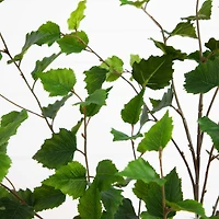 4ft. Potted Green Artificial Birch Tree with Real Touch Leaves