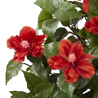 3ft. Hibiscus Topiary Plant in Decorative Planter