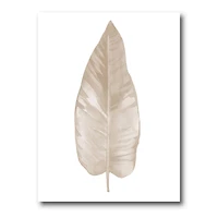 Designart - Dried Leaf Plant Beige On White