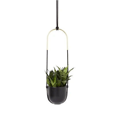Umbra Black Bolo Hanging Planter