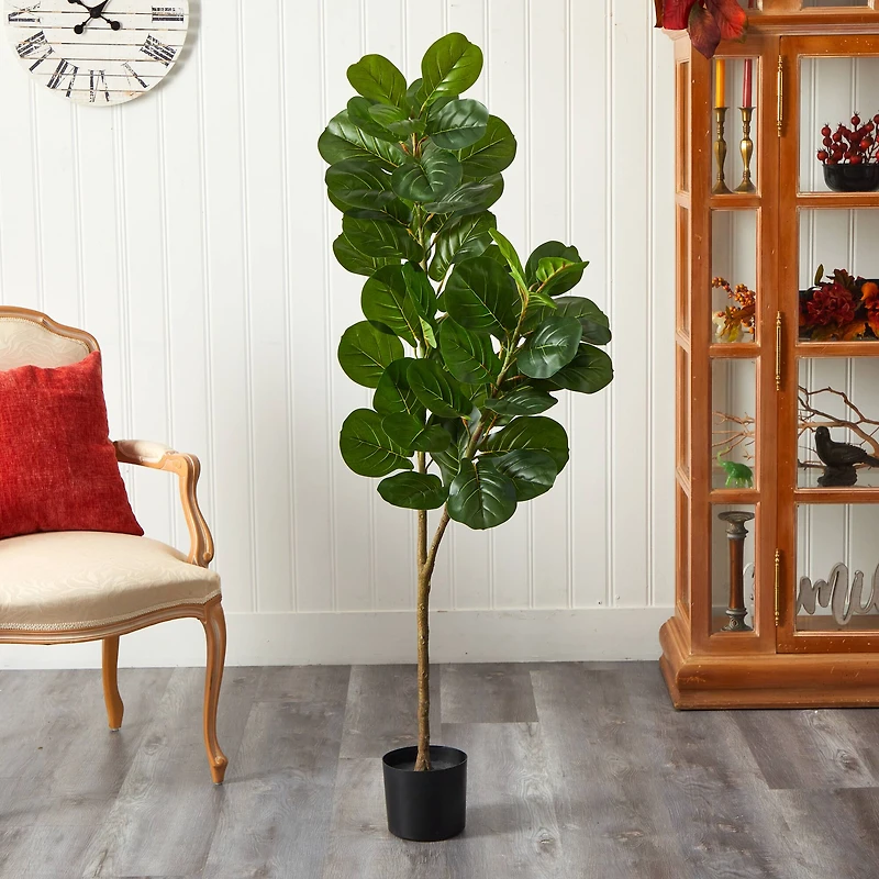 5.5ft. Potted Fiddle Leaf Fig Tree