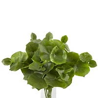 2.5ft. Lotus Branch Arrangement in Clear Vase