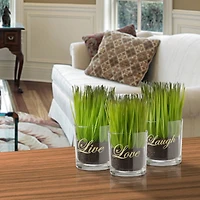 3-Piece Round Sprout-Filled Glass Assortment