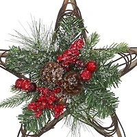 15" Red Berry & Pinecone Grapevine Star by Ashland®