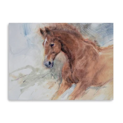 Equine Exercise Canvas Giclee