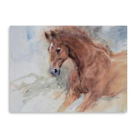 Equine Exercise Canvas Giclee