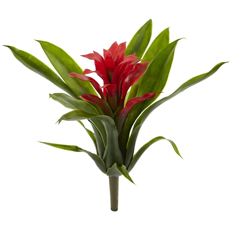 Red Bromeliad Flower Stem, 6ct.