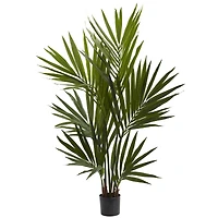 4ft. Potted Kentia Palm Silk Tree