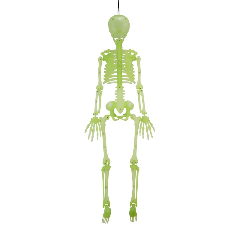 3ft. Glow-in-the-Dark Skeleton by Ashland®
