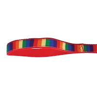 Best Furry Friends Pride Leash