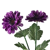 Purple Zinnia Mum Spray by Ashland® 