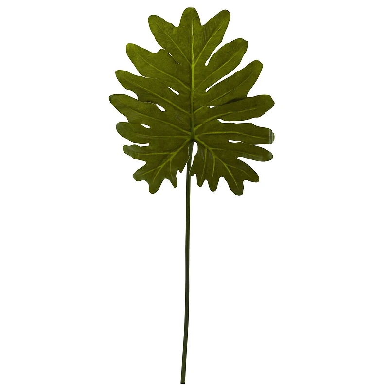 Selloum Philo Single Leaf Stem, 12ct.