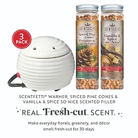 Scentsicles White Warmer with Scentfetti Spiced Pine Cones and Vanilla & Spice 3 pack
