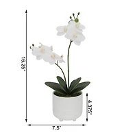 Flora Bunda® 16" Real-Touch Orchid Barcode In Ceramic Footed Pot