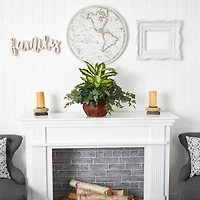 20" Dieffenbachia & Ivy In Decorative Planter