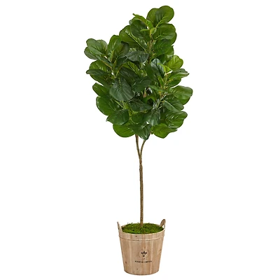 6ft. Fiddle Leaf Fig Tree in Farmhouse Planter