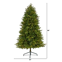 5.5ft. Pre-Lit Washington Fir Artificial Christmas Tree, Clear LED Lights