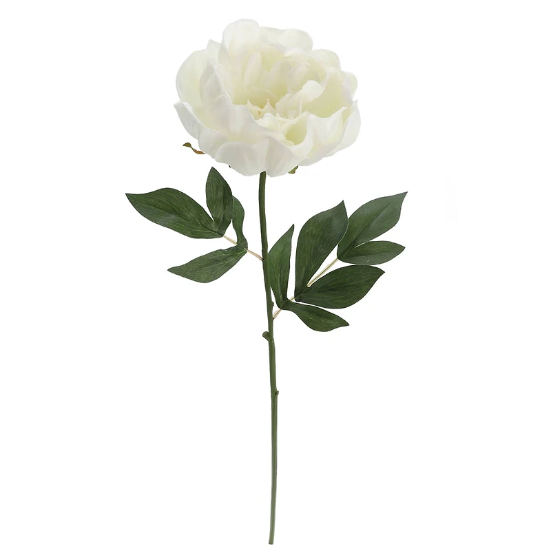White Peony Stem by Ashland®